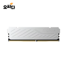 KingBank DDR5-6000 CL38 실버 (32G)